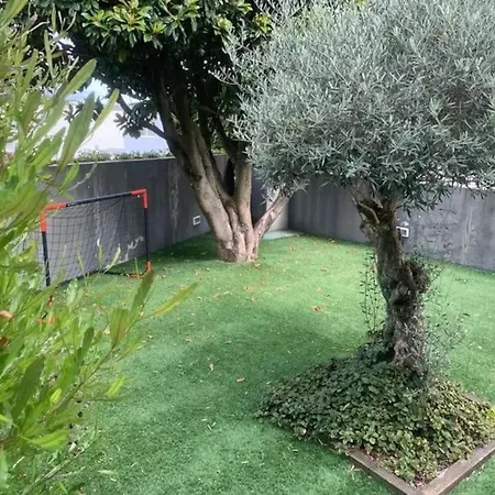 Villa Porto House On The Douro *